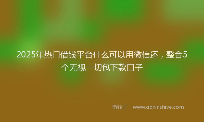 2025年热门借钱平台什么可以用微信还，整合5个无视一切包下款口子