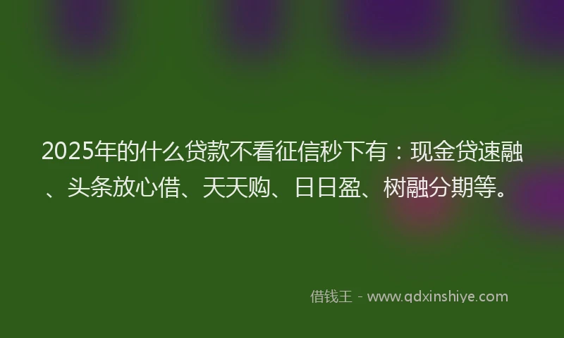 2025年的什么贷款不看征信秒下有:现金贷速融、头条放心借、天天购、日日盈、树融分期等。