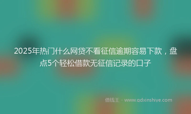 2025年热门什么网贷不看征信逾期容易下款，盘点5个轻松借款无征信记录的口子