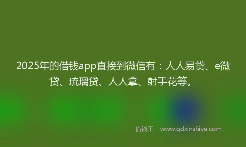 2025年的借钱app直接到微信有：人人易贷、e微贷、琉璃贷、人人拿、射手花等。