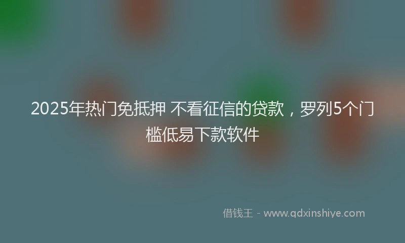 2025年热门免抵押 不看征信的贷款，罗列5个门槛低易下款软件