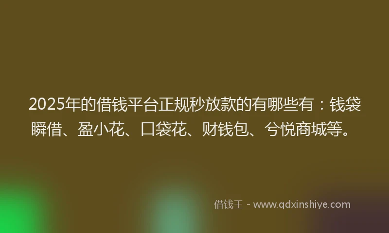 2025年的借钱平台正规秒放款的有哪些有：钱袋瞬借、盈小花、口袋花、财钱包、兮悦商城等。