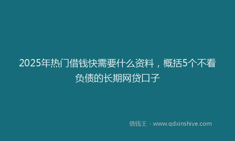 2025年热门借钱快需要什么资料，概括5个不看负债的长期网贷口子