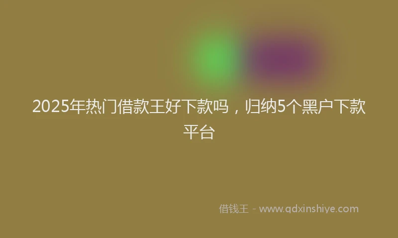 2025年热门借款王好下款吗，归纳5个黑户下款平台
