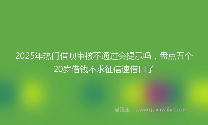 2025年热门借呗审核不通过会提示吗，盘点五个20岁借钱不求征信速借口子
