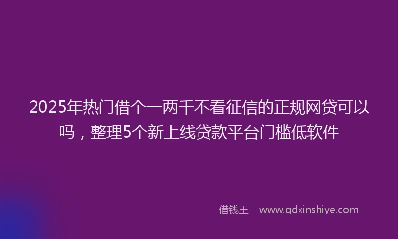 2025年热门借个一两千不看征信的正规网贷可以吗，整理5个新上线贷款平台门槛低软件