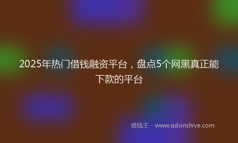 2025年热门借钱融资平台，盘点5个网黑真正能下款的平台