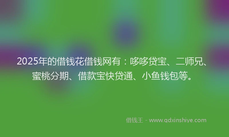 2025年的借钱花借钱网有：哆哆贷宝、二师兄、蜜桃分期、借款宝快贷通、小鱼钱包等。