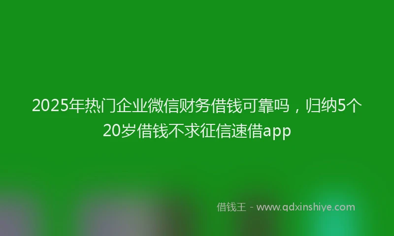 2025年热门企业微信财务借钱可靠吗，归纳5个20岁借钱不求征信速借app