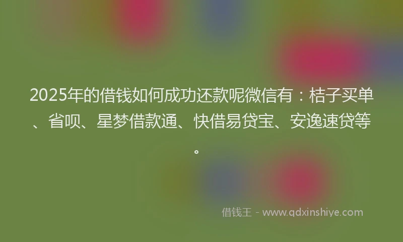 2025年的借钱如何成功还款呢微信有：桔子买单、省呗、星梦借款通、快借易贷宝、安逸速贷等。