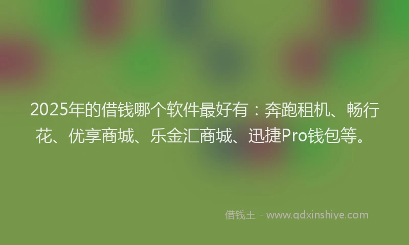 2025年的借钱哪个软件最好有：奔跑租机、畅行花、优享商城、乐金汇商城、迅捷Pro钱包等。