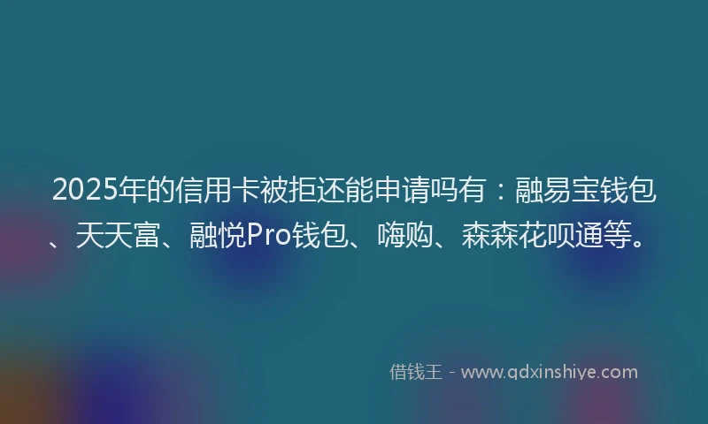 2025年的信用卡被拒还能申请吗有：融易宝钱包、天天富、融悦Pro钱包、嗨购、森森花呗通等。