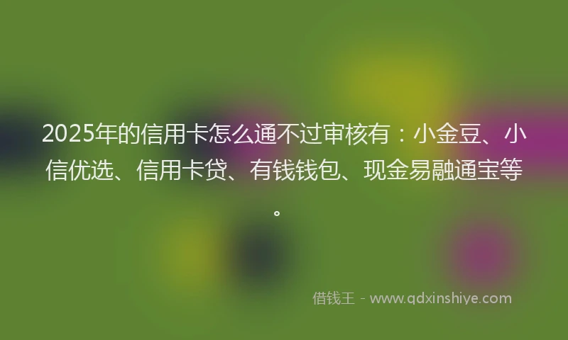 2025年的信用卡怎么通不过审核有：小金豆、小信优选、信用卡贷、有钱钱包、现金易融通宝等。