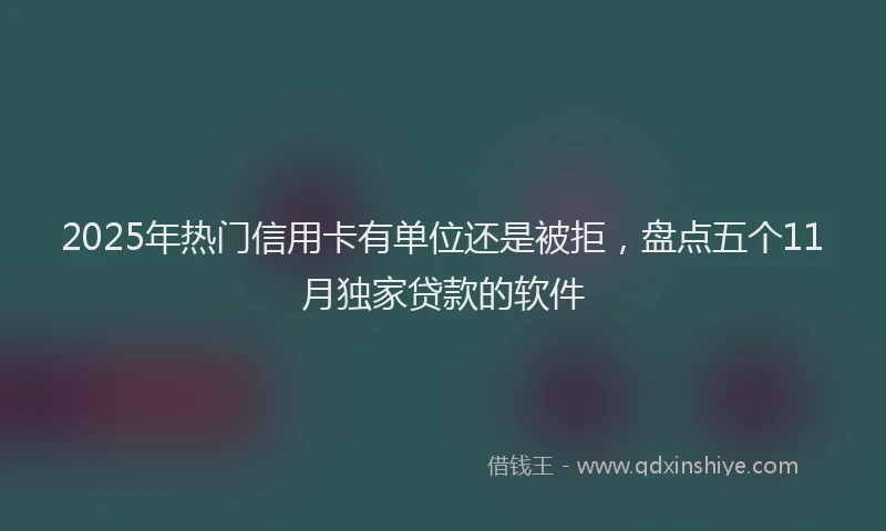 2025年热门信用卡有单位还是被拒，盘点五个11月独家贷款的软件