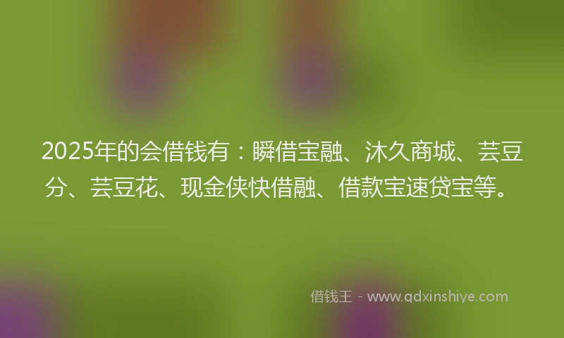 2025年的会借钱有：瞬借宝融、沐久商城、芸豆分、芸豆花、现金侠快借融、借款宝速贷宝等。