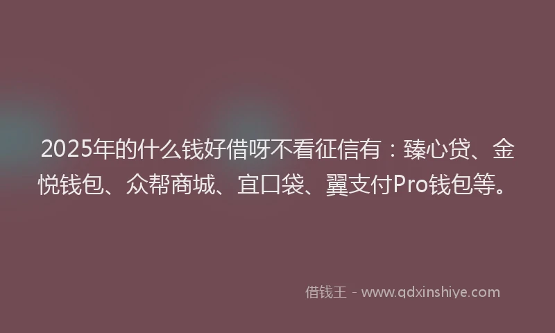 2025年的什么钱好借呀不看征信有：臻心贷、金悦钱包、众帮商城、宜口袋、翼支付Pro钱包等。