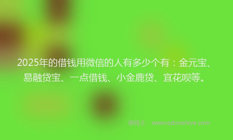 2025年的借钱用微信的人有多少个有：金元宝、易融贷宝、一点借钱、小金鹿贷、宜花呗等。