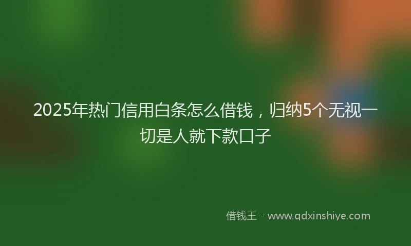 2025年热门信用白条怎么借钱，归纳5个无视一切是人就下款口子