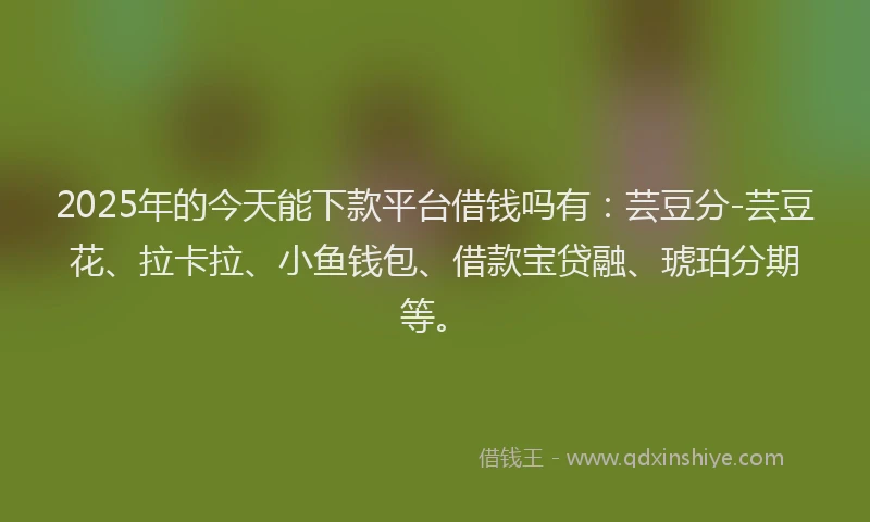 2025年的今天能下款平台借钱吗有：芸豆分-芸豆花、拉卡拉、小鱼钱包、借款宝贷融、琥珀分期等。