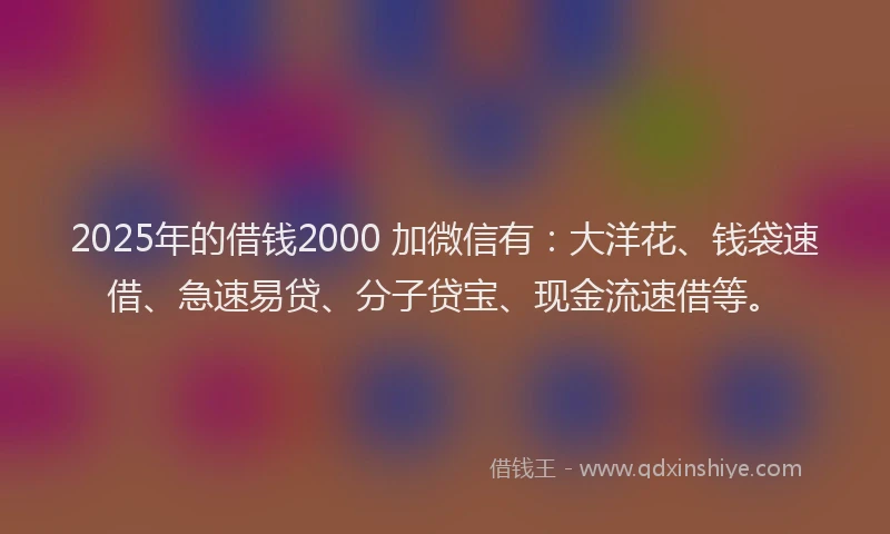 2025年的借钱2000 加微信有：大洋花、钱袋速借、急速易贷、分子贷宝、现金流速借等。
