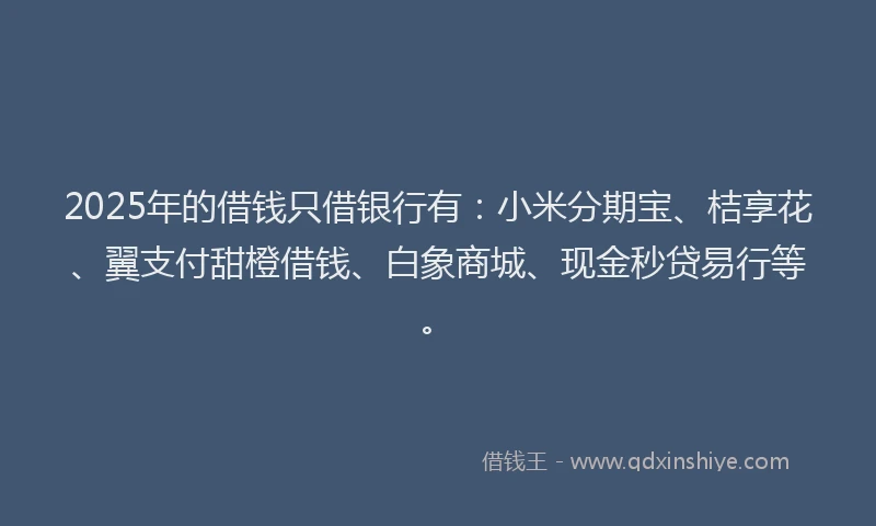 2025年的借钱只借银行有：小米分期宝、桔享花、翼支付甜橙借钱、白象商城、现金秒贷易行等。