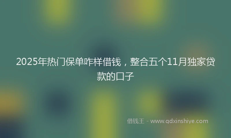 2025年热门保单咋样借钱，整合五个11月独家贷款的口子