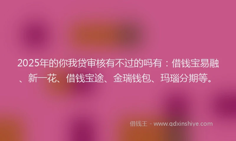 2025年的你我贷审核有不过的吗有：借钱宝易融、新一花、借钱宝途、金瑞钱包、玛瑙分期等。
