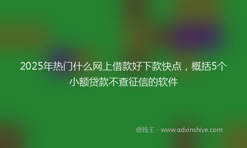 2025年热门什么网上借款好下款快点，概括5个小额贷款不查征信的软件