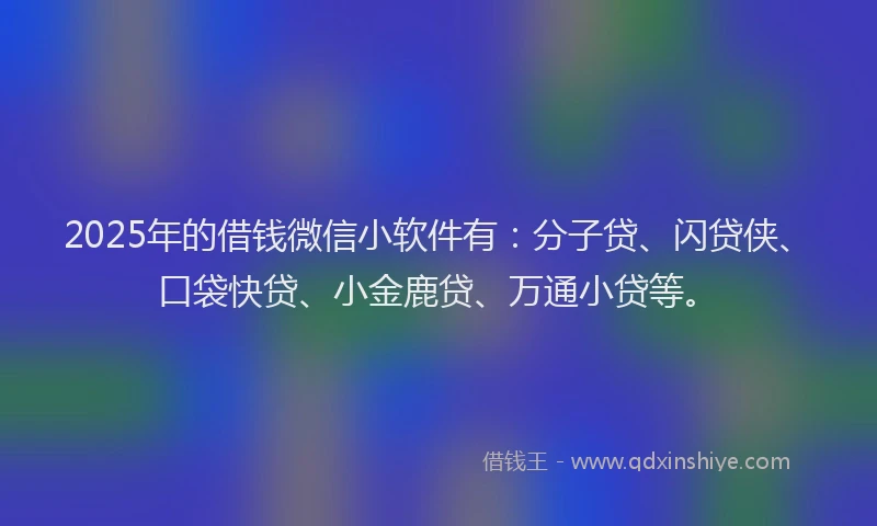 2025年的借钱微信小软件有：分子贷、闪贷侠、口袋快贷、小金鹿贷、万通小贷等。