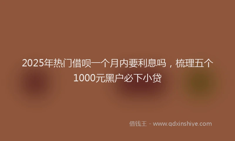 2025年热门借呗一个月内要利息吗，梳理五个1000元黑户必下小贷