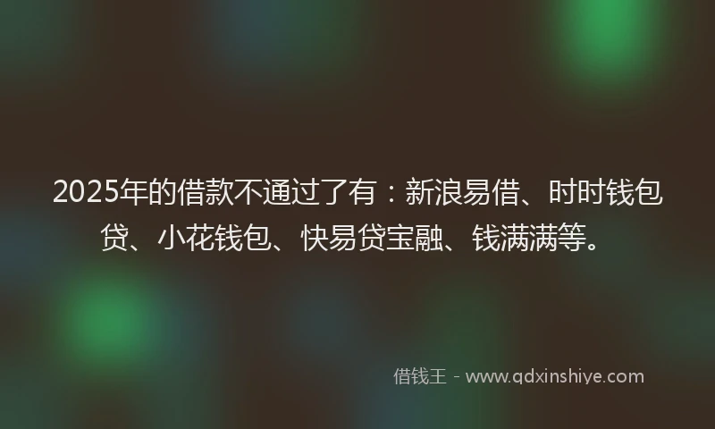 2025年的借款不通过了有：新浪易借、时时钱包贷、小花钱包、快易贷宝融、钱满满等。