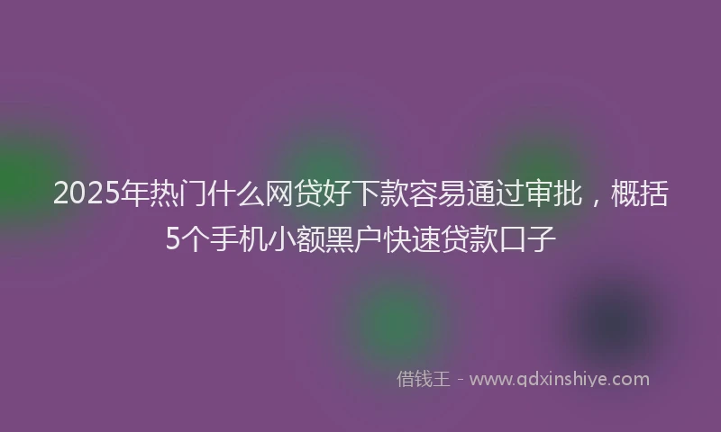 2025年热门什么网贷好下款容易通过审批，概括5个手机小额黑户快速贷款口子
