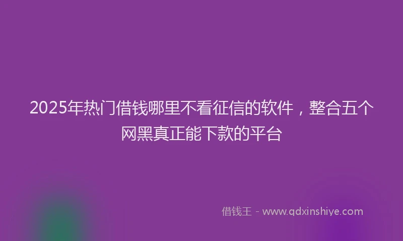 2025年热门借钱哪里不看征信的软件，整合五个网黑真正能下款的平台