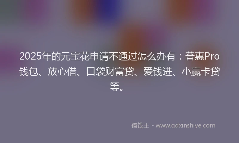 2025年的元宝花申请不通过怎么办有：普惠Pro钱包、放心借、口袋财富贷、爱钱进、小赢卡贷等。