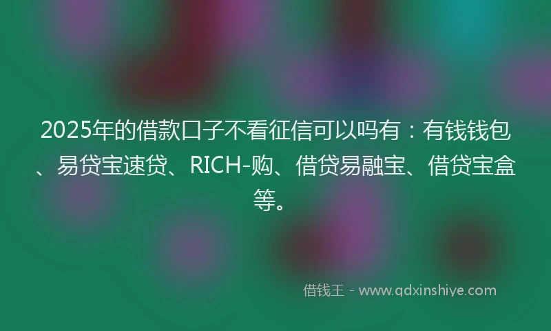 2025年的借款口子不看征信可以吗有：有钱钱包、易贷宝速贷、RICH-购、借贷易融宝、借贷宝盒等。