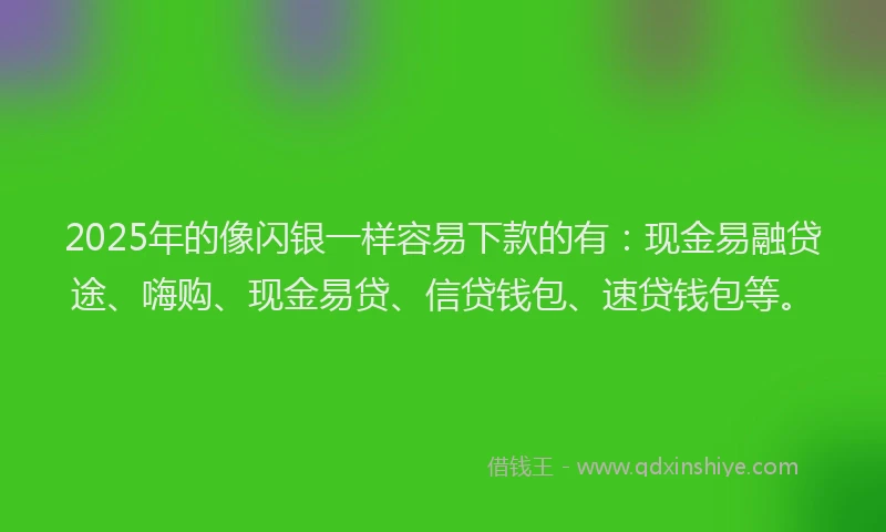 2025年的像闪银一样容易下款的有：现金易融贷途、嗨购、现金易贷、信贷钱包、速贷钱包等。