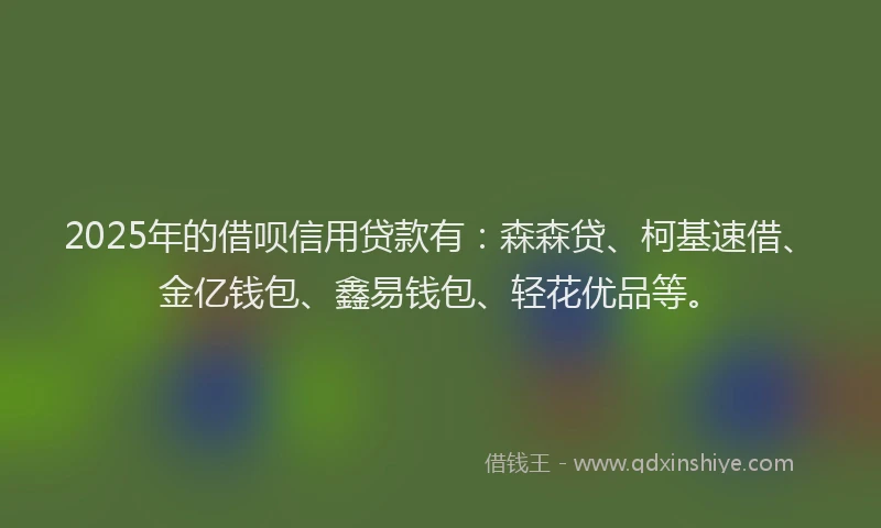 2025年的借呗信用贷款有：森森贷、柯基速借、金亿钱包、鑫易钱包、轻花优品等。