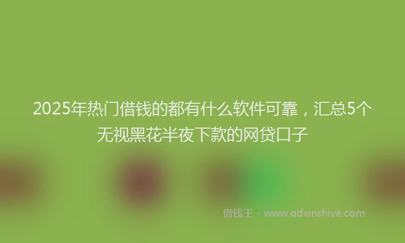 2025年热门借钱的都有什么软件可靠，汇总5个无视黑花半夜下款的网贷口子