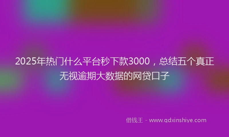 2025年热门什么平台秒下款3000，总结五个真正无视逾期大数据的网贷口子