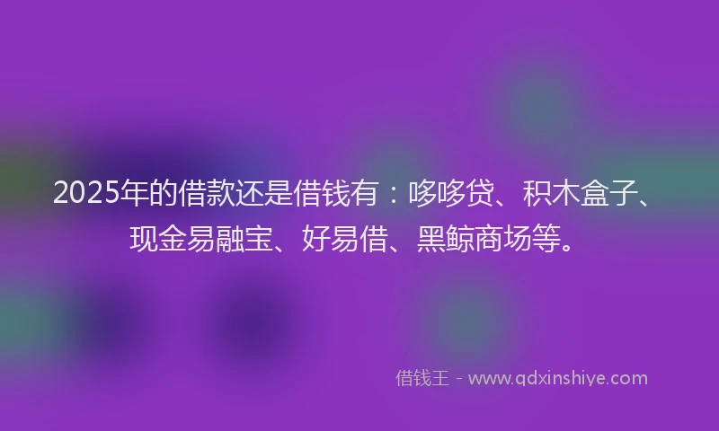2025年的借款还是借钱有：哆哆贷、积木盒子、现金易融宝、好易借、黑鲸商场等。
