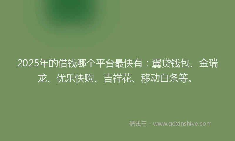 2025年的借钱哪个平台最快有：翼贷钱包、金瑞龙、优乐快购、吉祥花、移动白条等。