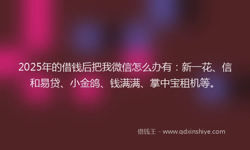 2025年的借钱后把我微信怎么办有：新一花、信和易贷、小金鸽、钱满满、掌中宝租机等。