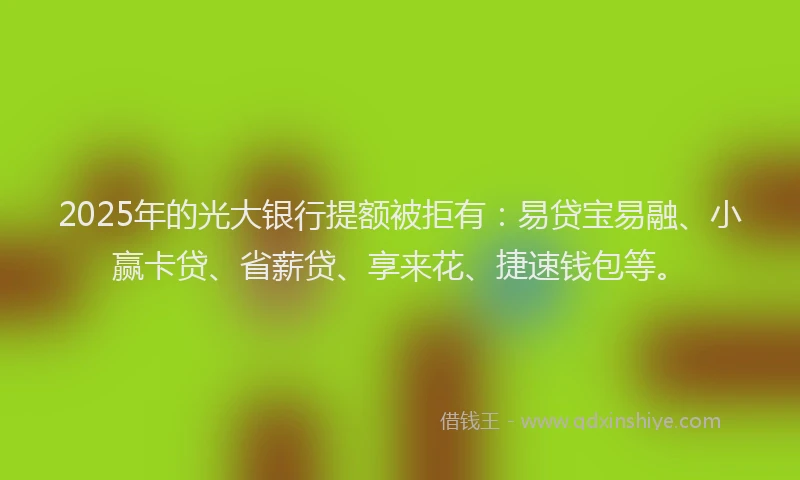 2025年的光大银行提额被拒有：易贷宝易融、小赢卡贷、省薪贷、享来花、捷速钱包等。