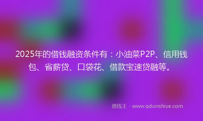 2025年的借钱融资条件有：小油菜P2P、信用钱包、省薪贷、口袋花、借款宝速贷融等。