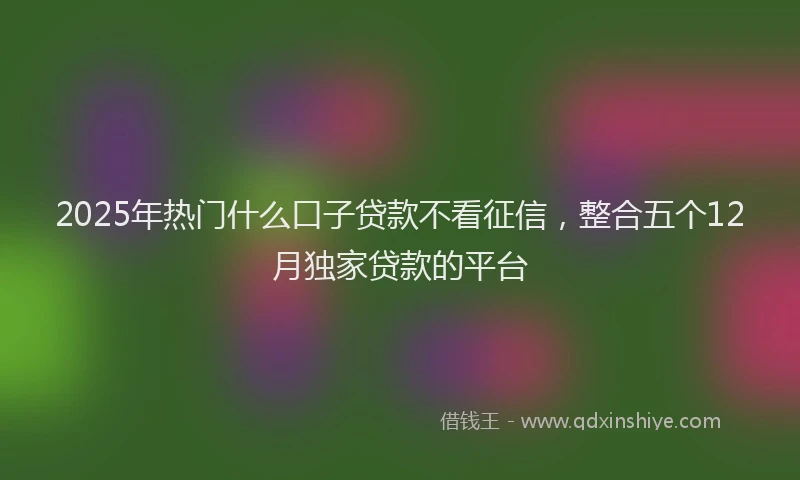 2025年热门什么口子贷款不看征信，整合五个12月独家贷款的平台
