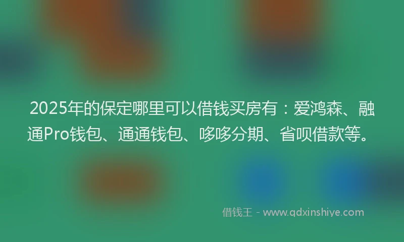 2025年的保定哪里可以借钱买房有：爱鸿森、融通Pro钱包、通通钱包、哆哆分期、省呗借款等。