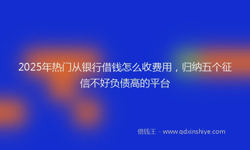 2025年热门从银行借钱怎么收费用，归纳五个征信不好负债高的平台