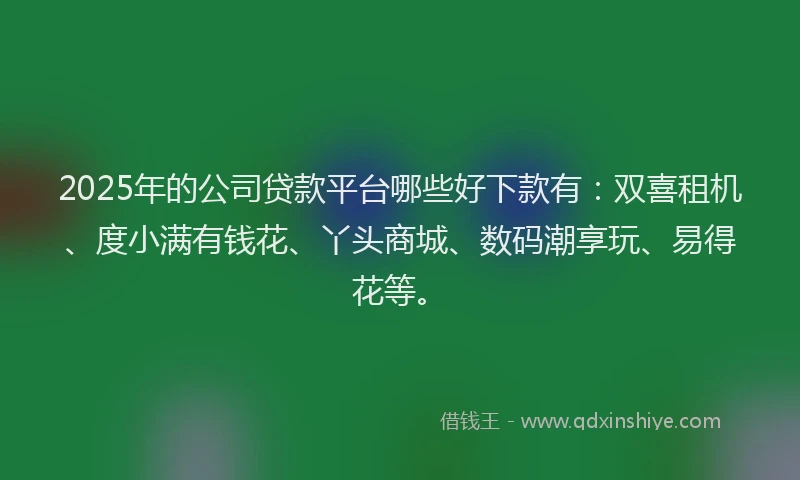 2025年的公司贷款平台哪些好下款有：双喜租机、度小满有钱花、丫头商城、数码潮享玩、易得花等。