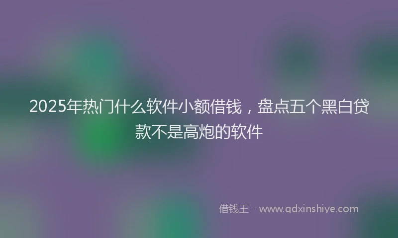 2025年热门什么软件小额借钱，盘点五个黑白贷款不是高炮的软件