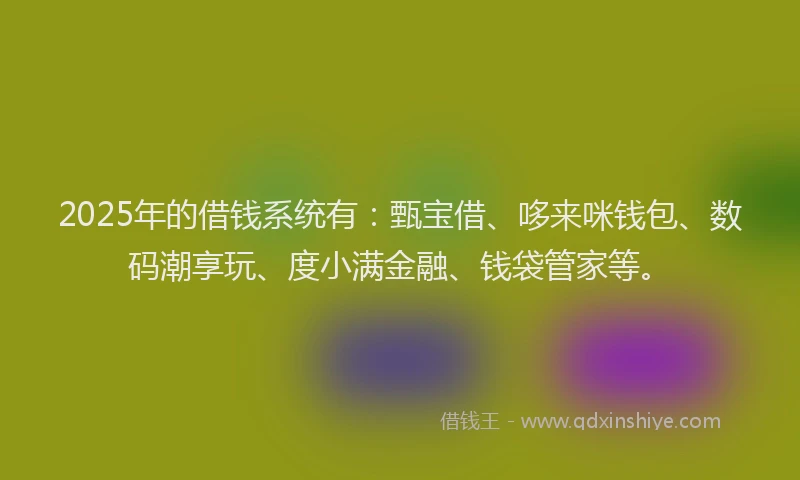 2025年的借钱系统有：甄宝借、哆来咪钱包、数码潮享玩、度小满金融、钱袋管家等。